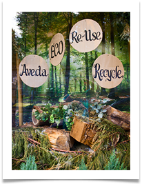 RECYCLE - Jan Hodson